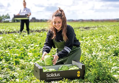 Solidus Ara Kartonlar / Layer Pad resmî ürün görseli 5